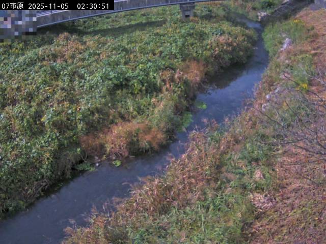 最新監視カメラ画像