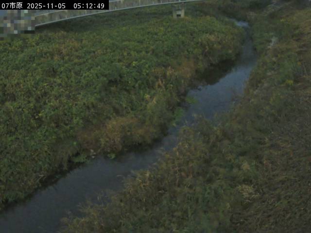 最新監視カメラ画像