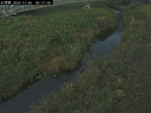 最新監視カメラ画像