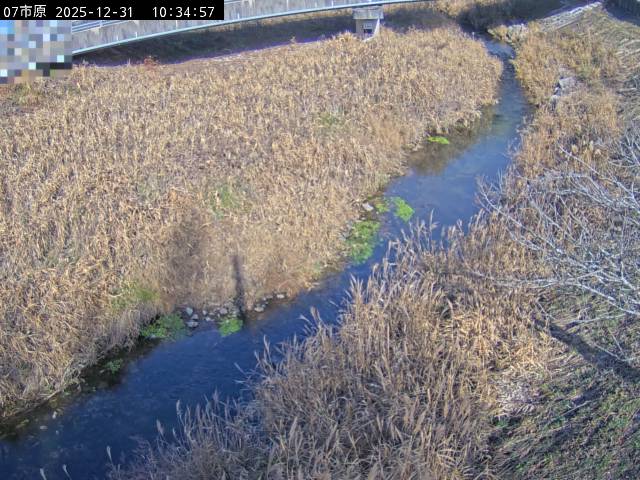 最新監視カメラ画像