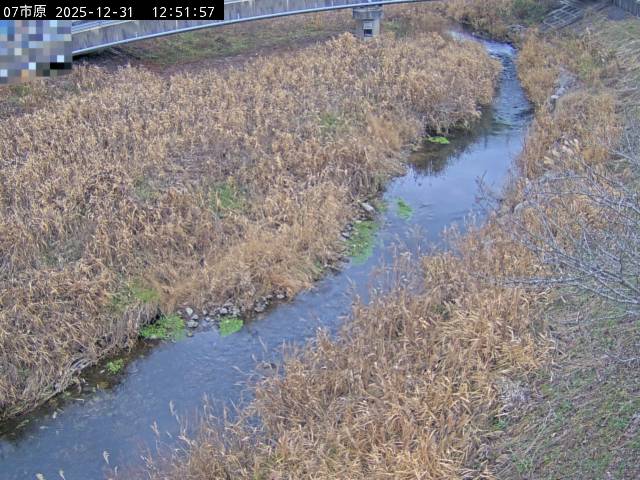 最新監視カメラ画像