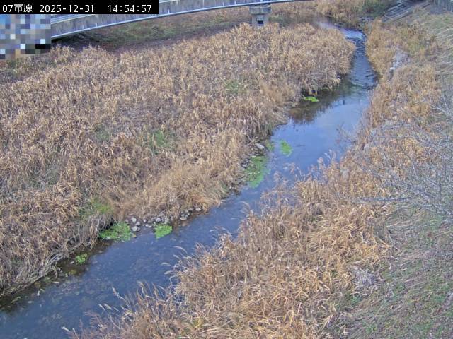 最新監視カメラ画像