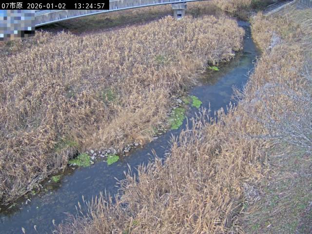 最新監視カメラ画像