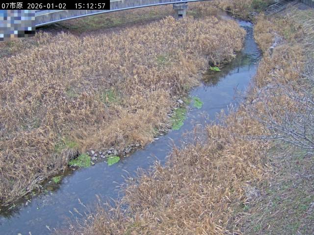 最新監視カメラ画像