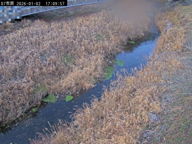 最新監視カメラ画像