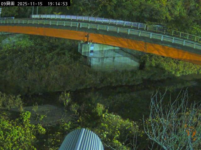 最新監視カメラ画像