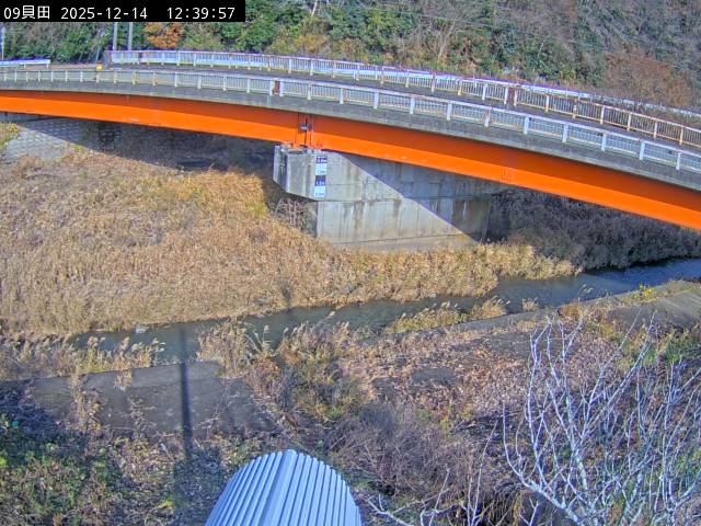 最新監視カメラ画像