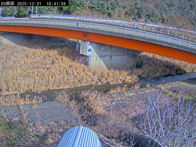 最新監視カメラ画像