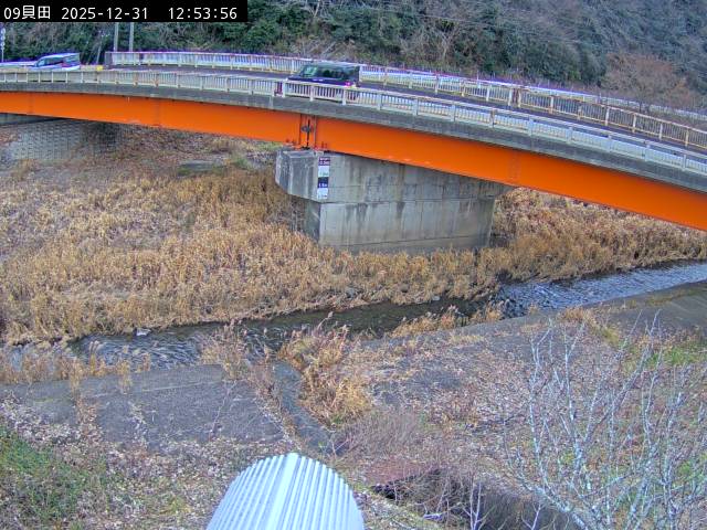 最新監視カメラ画像