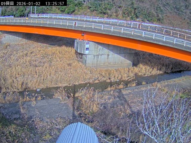 最新監視カメラ画像