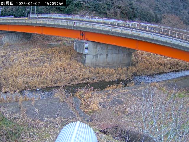 最新監視カメラ画像