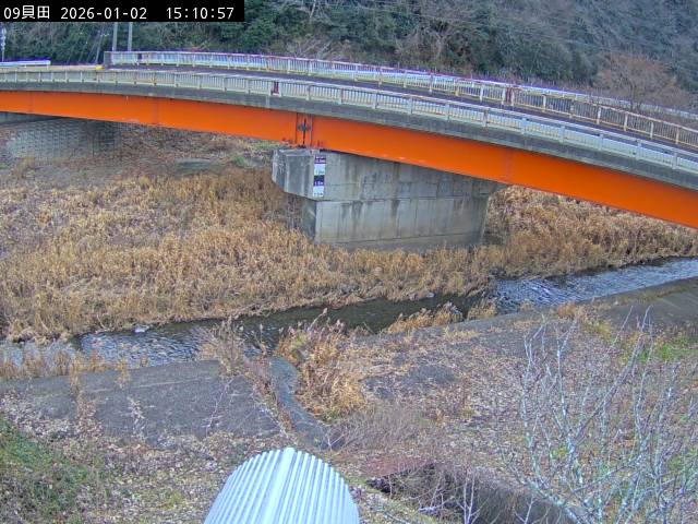 最新監視カメラ画像