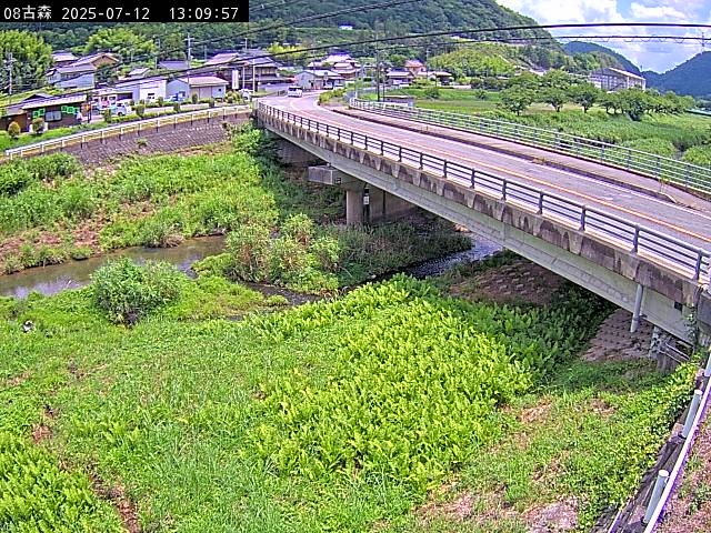 最新監視カメラ画像