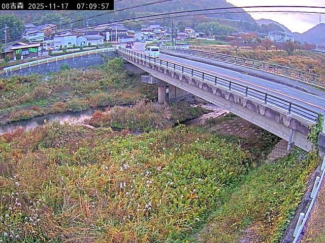 最新監視カメラ画像