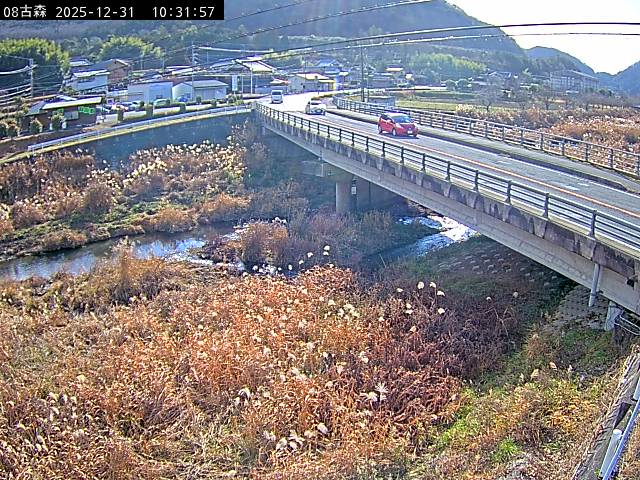 最新監視カメラ画像