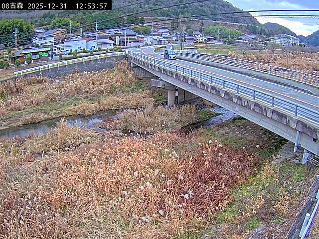 最新監視カメラ画像