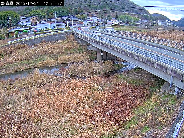 最新監視カメラ画像