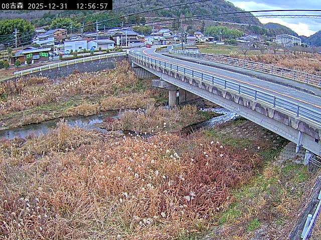 最新監視カメラ画像