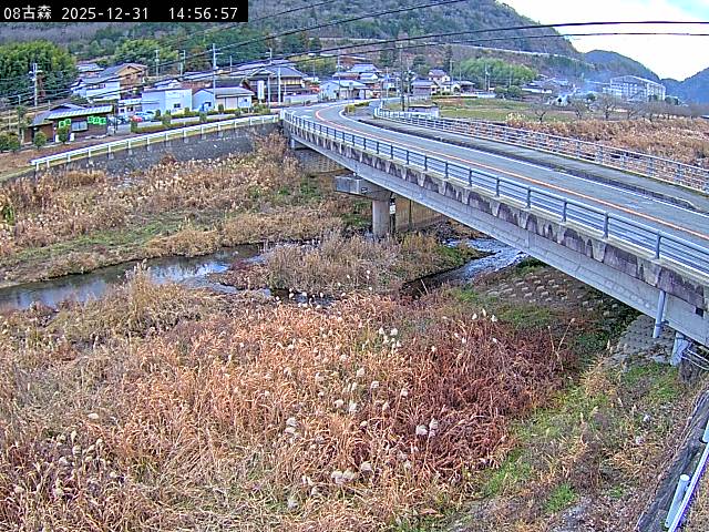 最新監視カメラ画像