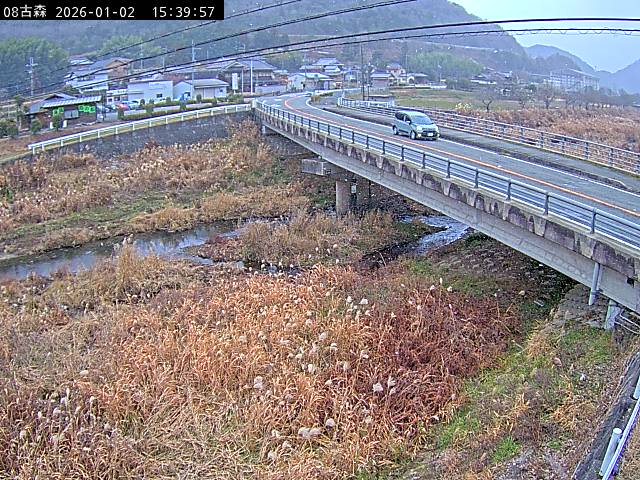 最新監視カメラ画像