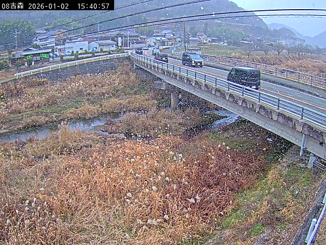 最新監視カメラ画像