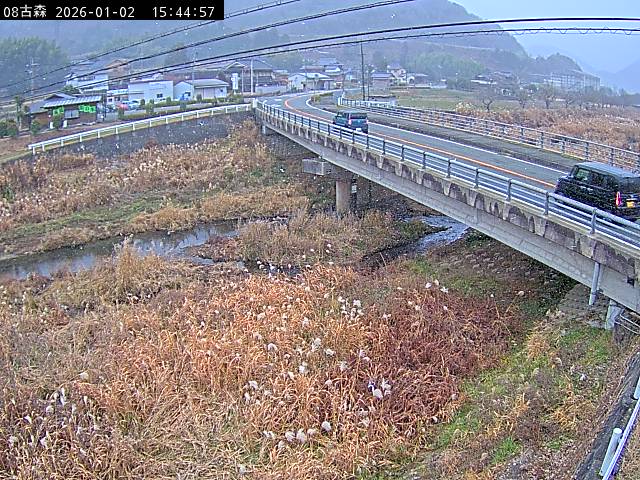 最新監視カメラ画像