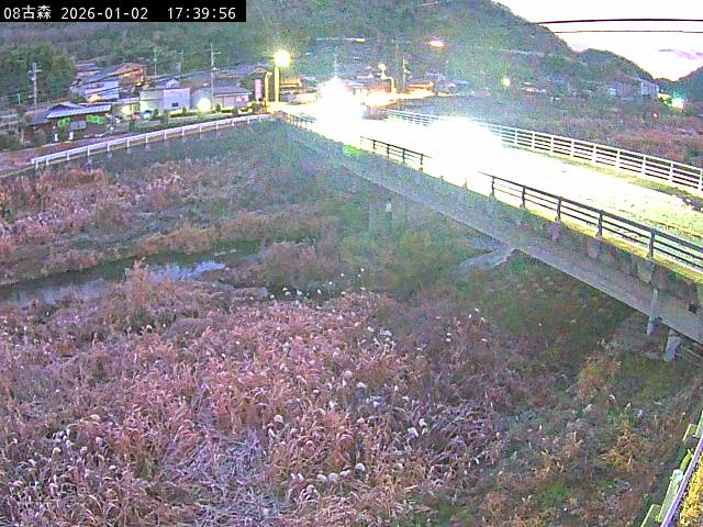 最新監視カメラ画像