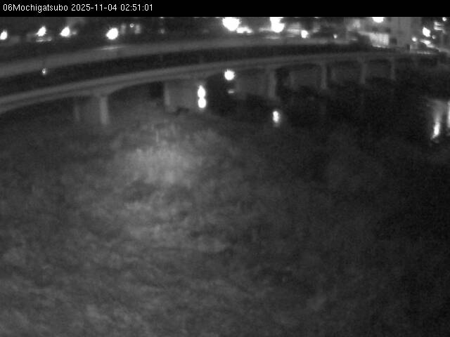 最新監視カメラ画像