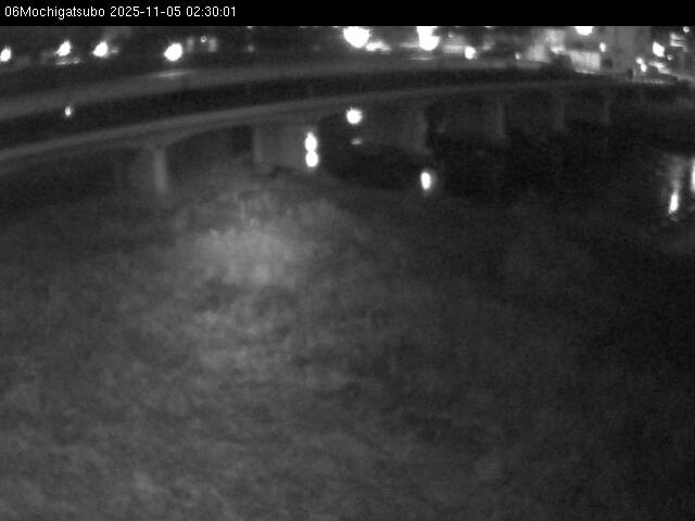 最新監視カメラ画像