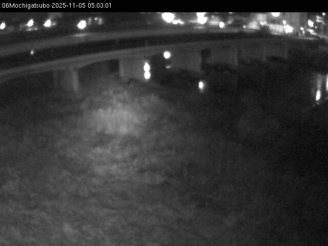 最新監視カメラ画像