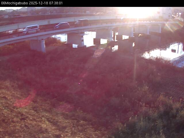 最新監視カメラ画像