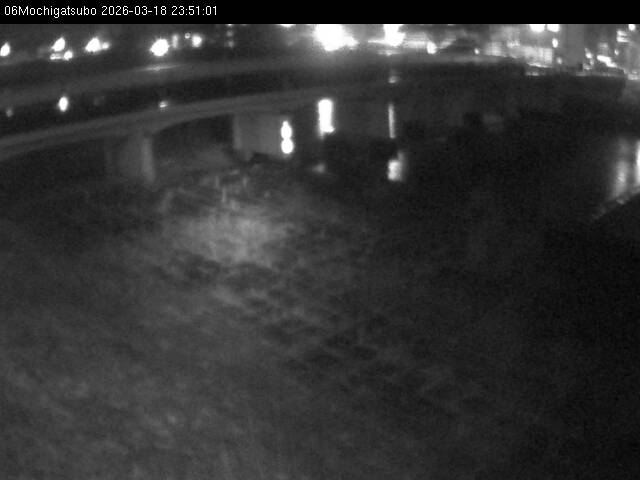 最新監視カメラ画像