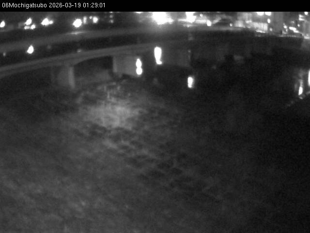 最新監視カメラ画像