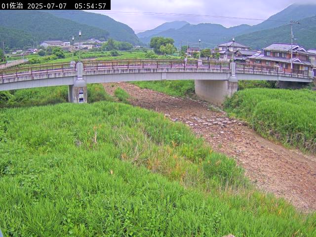 最新監視カメラ画像
