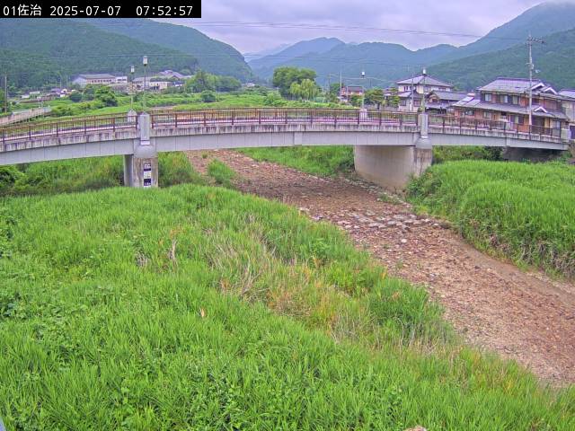 最新監視カメラ画像