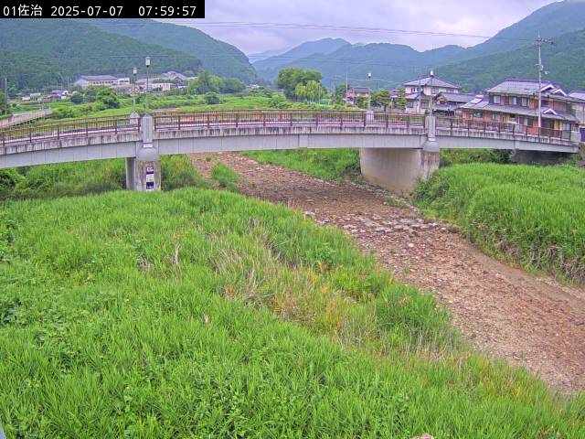 最新監視カメラ画像