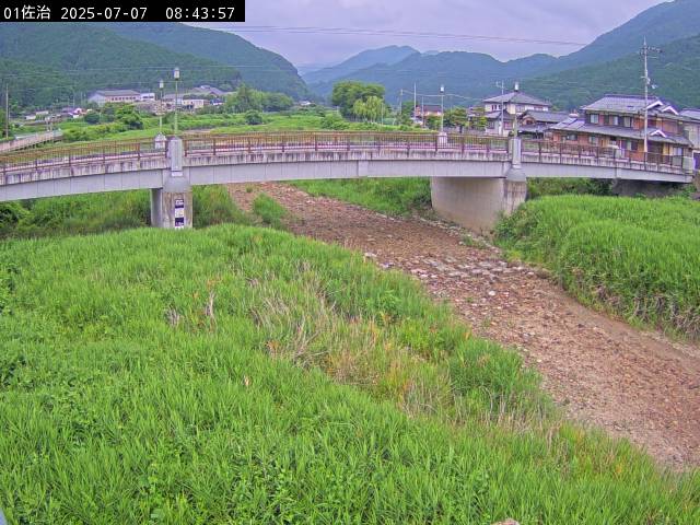 最新監視カメラ画像