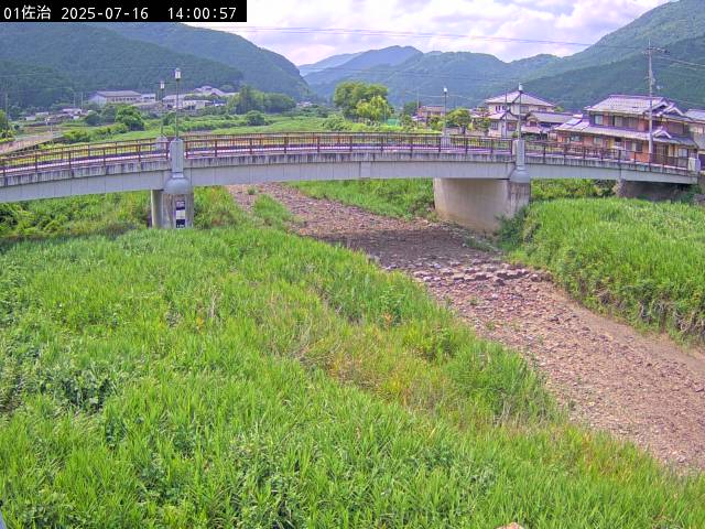 最新監視カメラ画像