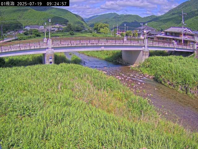 最新監視カメラ画像