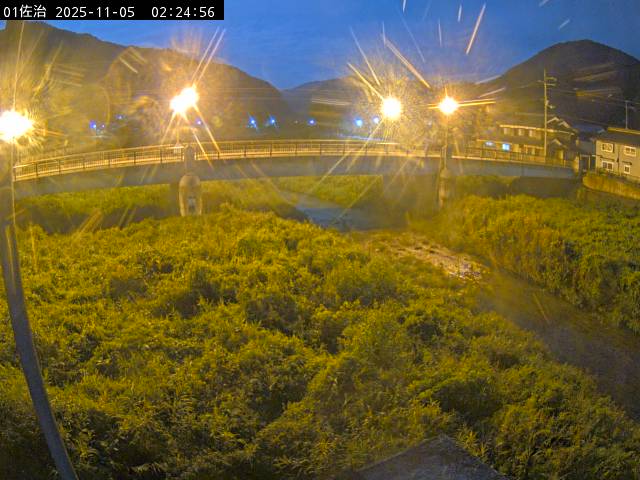 最新監視カメラ画像