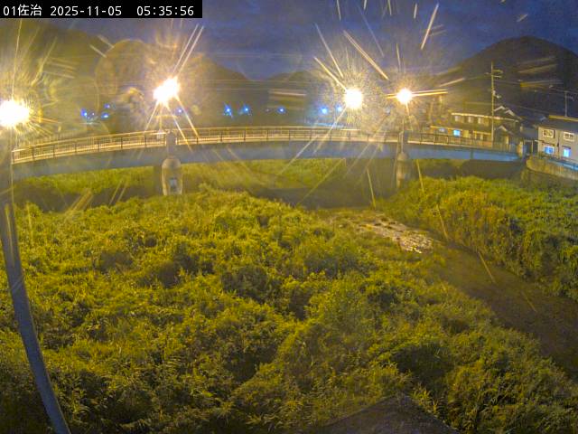 最新監視カメラ画像