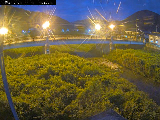 最新監視カメラ画像