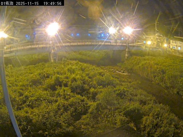 最新監視カメラ画像