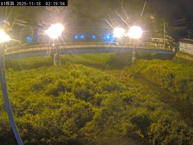 最新監視カメラ画像