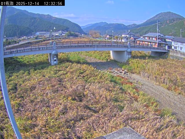 最新監視カメラ画像