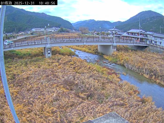 最新監視カメラ画像