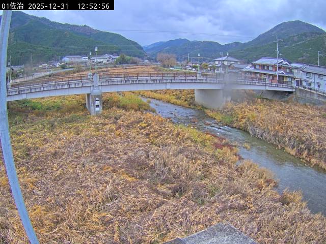 最新監視カメラ画像