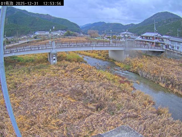 最新監視カメラ画像