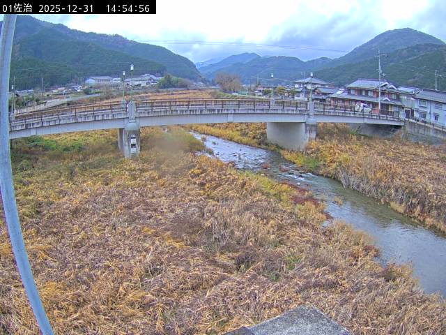 最新監視カメラ画像