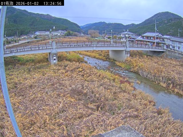 最新監視カメラ画像